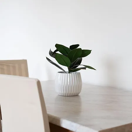 Apartamento Capodichino - Free Parking By Maison Charme